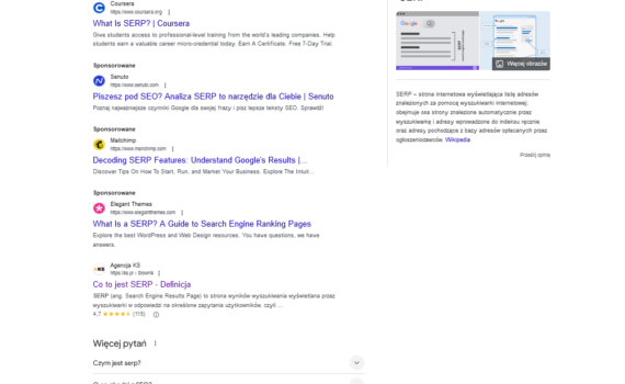 Wynik wyszukiwania Google