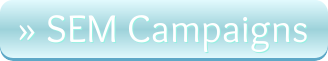 SEM Campaigns button 