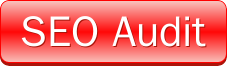 SEO Audit button 